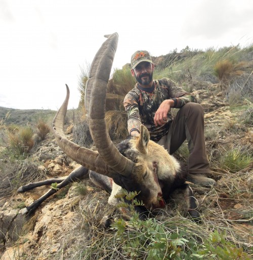 imagen de Rececho macho montes