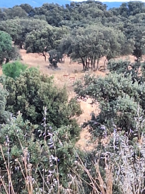 imagen de Menor en Toledo