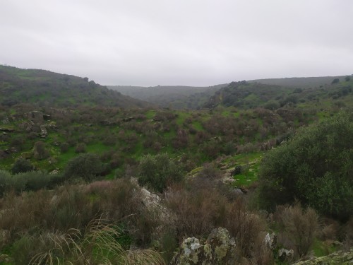 imagen de Coto caza menor caceres 
