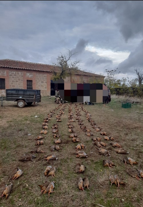 imagen de 10 compa&ntilde;eros para ojeos