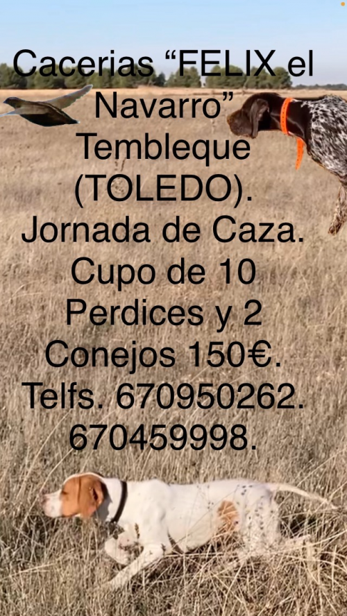 imagen de Cacerias en TOLEDO
