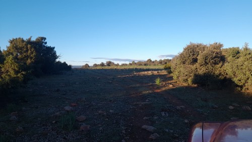 imagen de Coto caza menor intensivo (acciones)