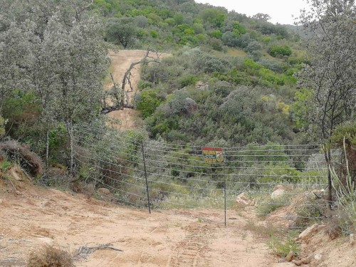 imagen de FINCA PARA ZORZAL Y MEDIA VEDA 2026/27