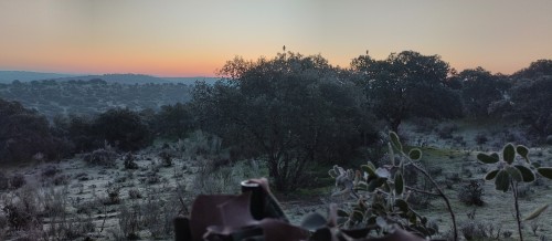 imagen de Finca de caza para palomas invierno cinbel 
