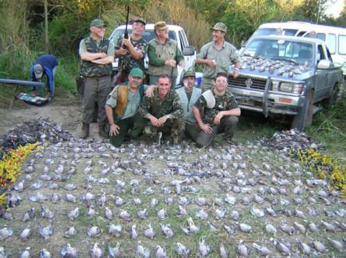 imagen de Caza t&oacute;rtolas en Argentina