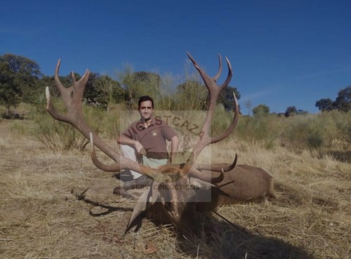 imagen de Recechos ciervo gamo muflon jabali cabra y macho montes