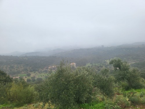 imagen de Finca cineg&eacute;tica de caza 