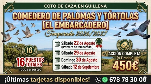 imagen de PALOMAS Y TORTOLAS 