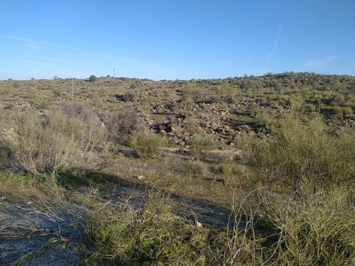 imagen de Acciones caza menor en Toledo 