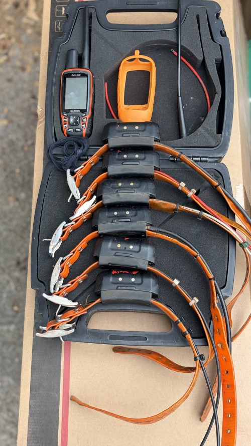 imagen de Garmin Astro 320 + 6 collares GPS