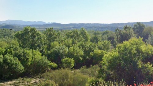 imagen de Finca para ganchos jabali en Huesca