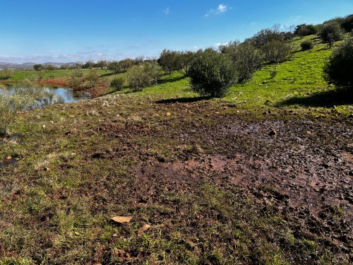 imagen de Arriendo finca de caza mayor