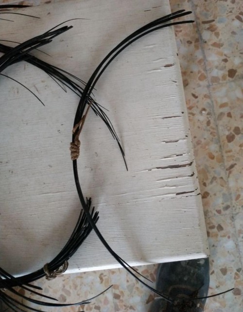 imagen de Busco pelo de elefante