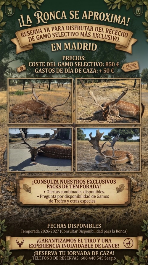 imagen de Rececho de gamo en Madrid 