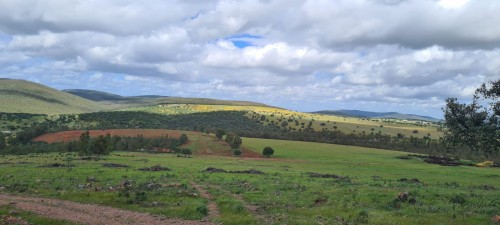 imagen de SE VENDE FINCA EN EXTREMADURA