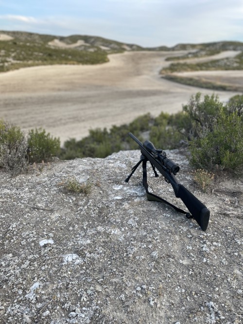 imagen de Busco cotos de caza en Aragon 