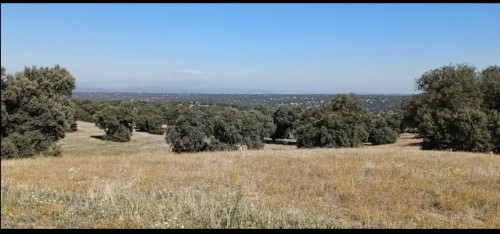 imagen de Coto de caza en M&eacute;ntrida 