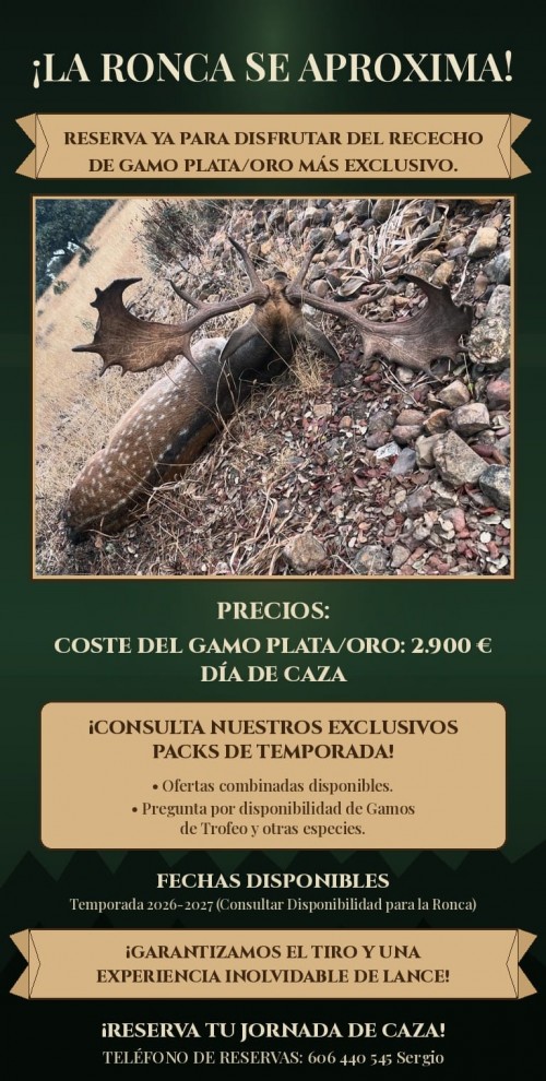 imagen de Se vende rececho de gamo plata/oro