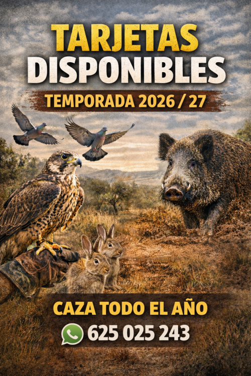 imagen de Tarjetas disponibles 