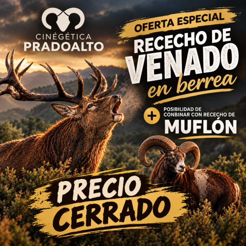imagen de Rececho de Venado en berrea 