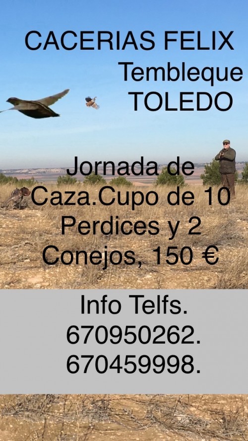 imagen de Jornadas de Caza en Toledo (TEMBLEQUE Y EL ROMERAL).