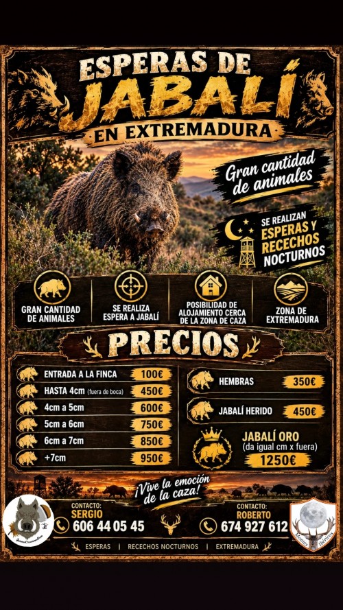 imagen de Espera/Rececho de jabal&iacute; en abierto