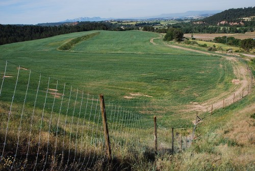 imagen de MALLA CINEG&Eacute;TICA ANUDADA NUDO FIJO "URSUS FUERTE AS - ZINCALU SUPER" BETAFENCE 200/15/15-R/050