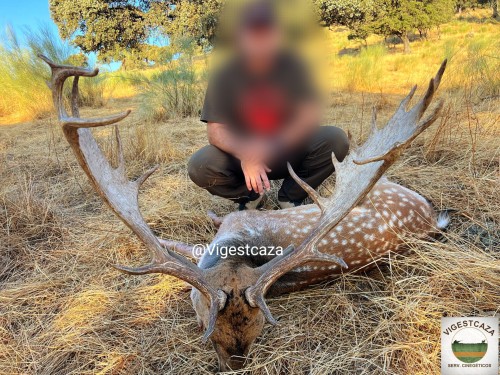 imagen de Recechos de grandes gamo
