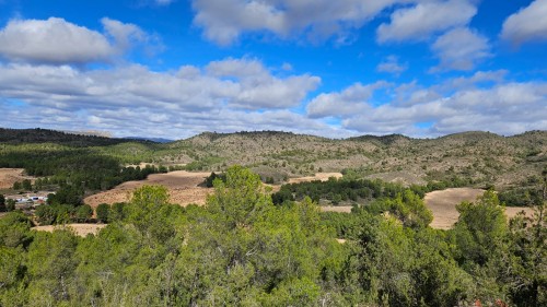 imagen de FINCA DE CAZA Y LABOR SECANO
