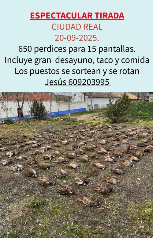 imagen de Se ofrece puesto de tirada de perdices 