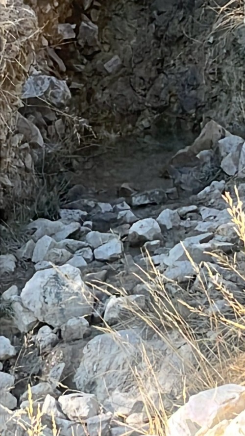 imagen de Busco coto o finca de caza mayor