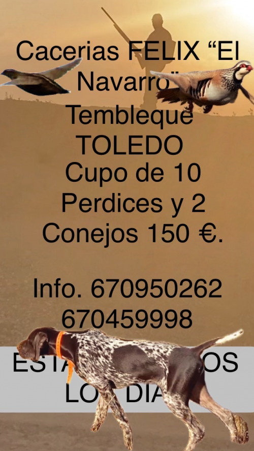 imagen de Cacerias en Toledo TEMBLEQUE Y EL ROMERAL.