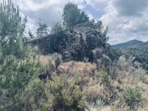 imagen de Finca en La Mocha - Segorbe - Castell&oacute;n 