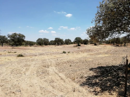 imagen de FINCAS DE CAZA EN SEVILLA TEMP 2026-2027