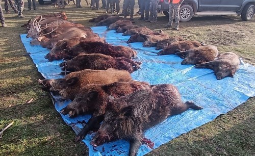 imagen de MONTER&Iacute;AS EN SORIA