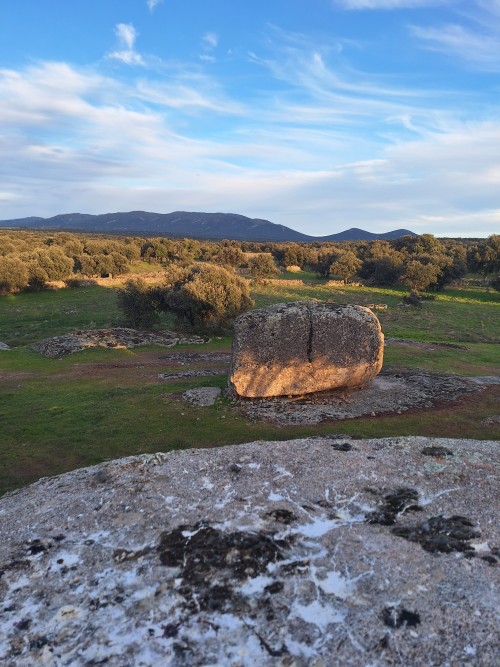 imagen de Coto de caza menor