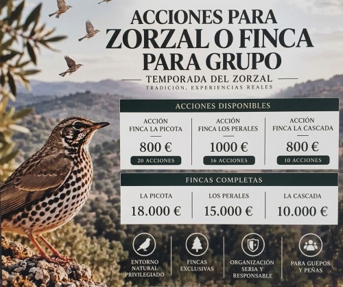 imagen de 6 ULTIMAS ACCIONES EN FINCA PARA ZORZAL  2026/27