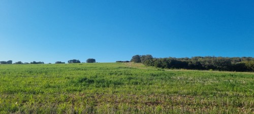 imagen de Caza menor zona coto comercial