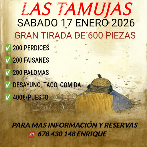 imagen de Gran tirada 17 Enero 600 piezas (Toledo)