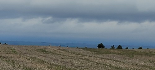 imagen de COTOS CAZA MENOR (2) EN BURGOS-SUR Y OESTE