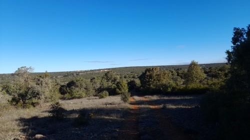 imagen de Coto caza menor intensivo (grupo de cazadores o acciones)