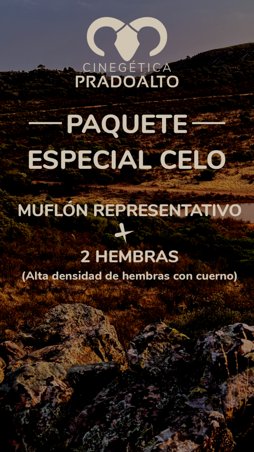 imagen de Rececho Mufl&oacute;n y hembras