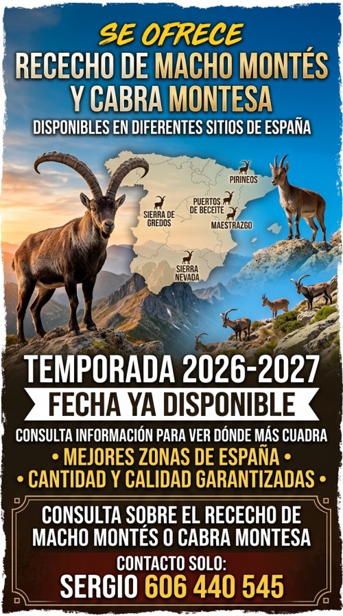 imagen de Se ofrecen recechos de macho montes y cabra montesa 