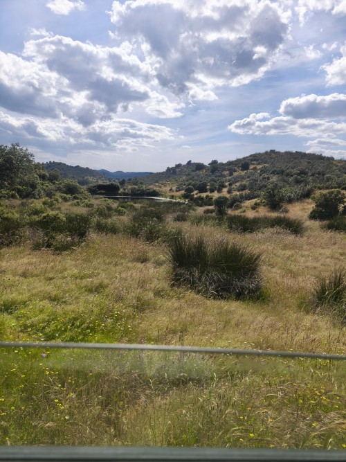 imagen de Coto de Caza Menor en Huelva