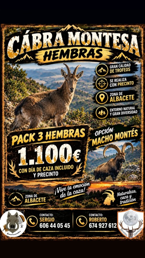 imagen de Rececho de 3 cabras