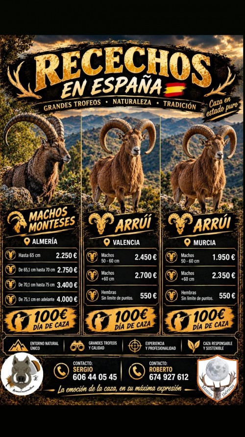 imagen de Rececho macho montes y arruis 