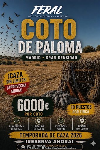 imagen de Finca espectacular media veda Madrid 