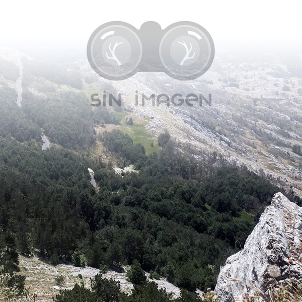 imagen de Busco finca de caza en L'alt Urgell 