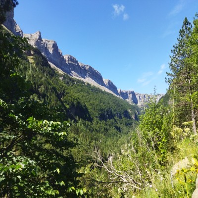 foto de Rodrigo