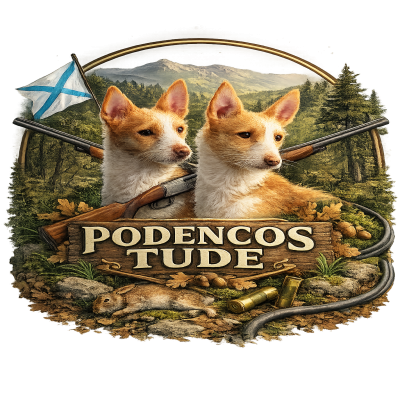 foto de Podenco 